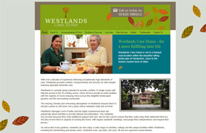 Website designers Alton Hampshire