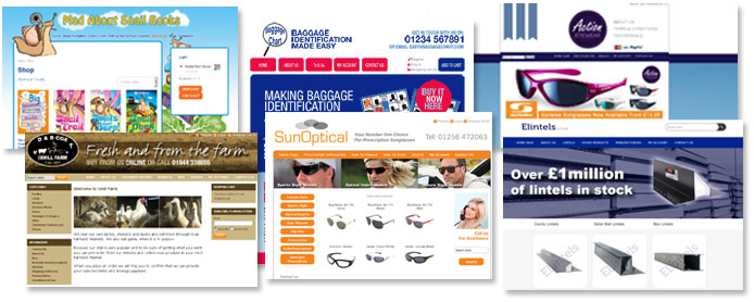 Ecommerce web designers in Alton Hampshire