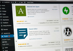 WordPress Dashboard